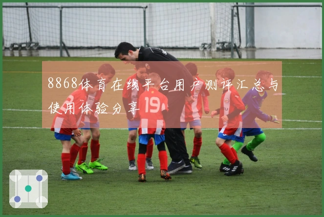 8868体育在线平台用户测评汇总与使用体验分享