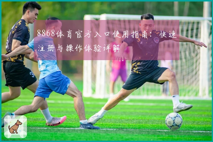 8868体育官方入口使用指南：快速注册与操作体验详解